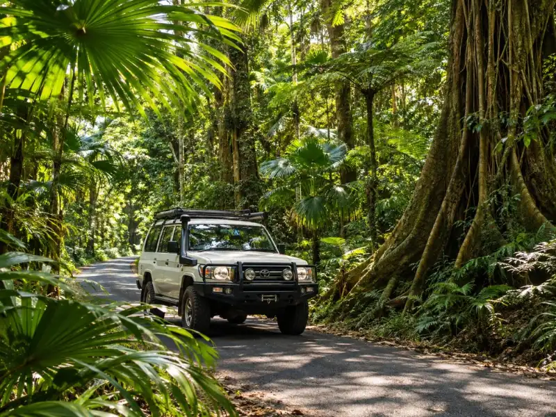 Daintree & Cape Tribulation 4WD-Tour