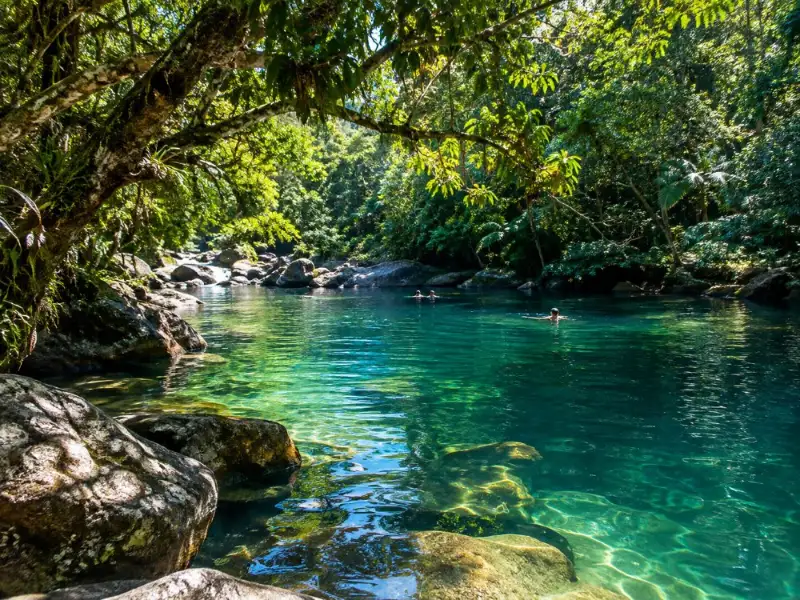 Beste Daintree-Regenwald-Tagestour