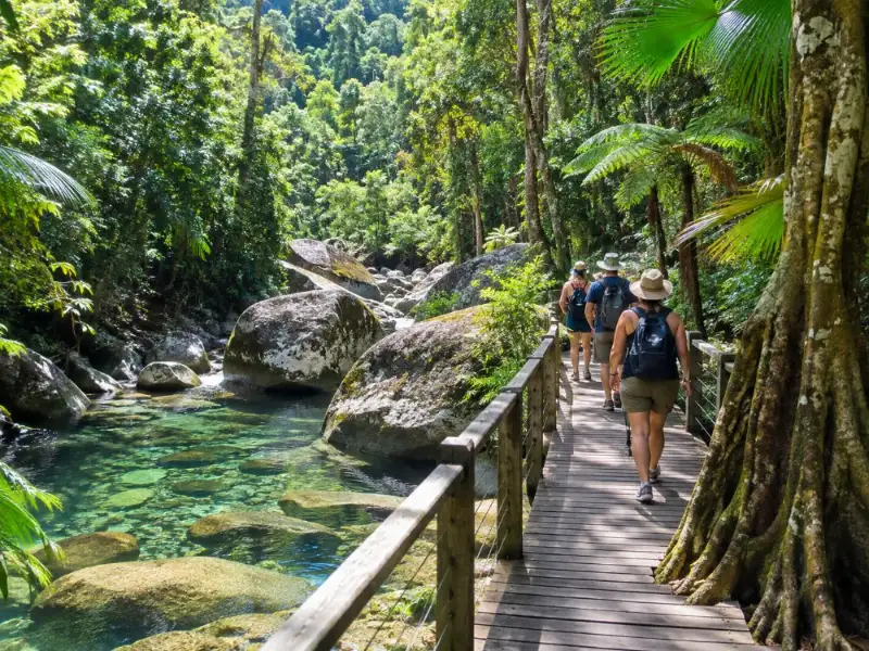 Daintree- und Mossman-Gorge-Tagestour