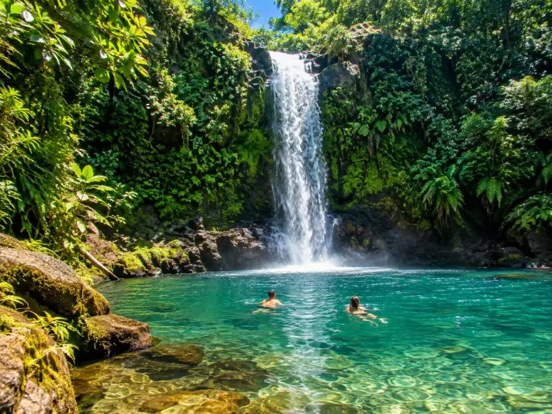 Cassowary Falls Abenteuer-Tour
