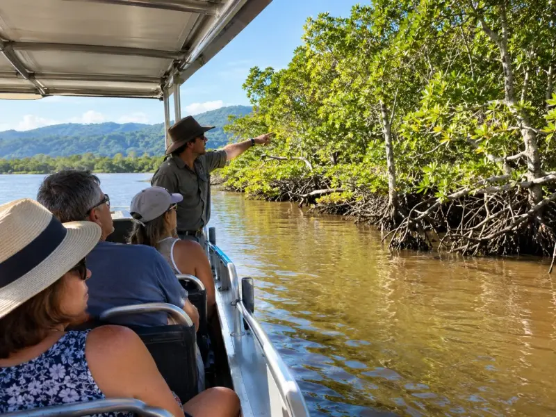Crocodile Express Daintree River Kreuzfahrt